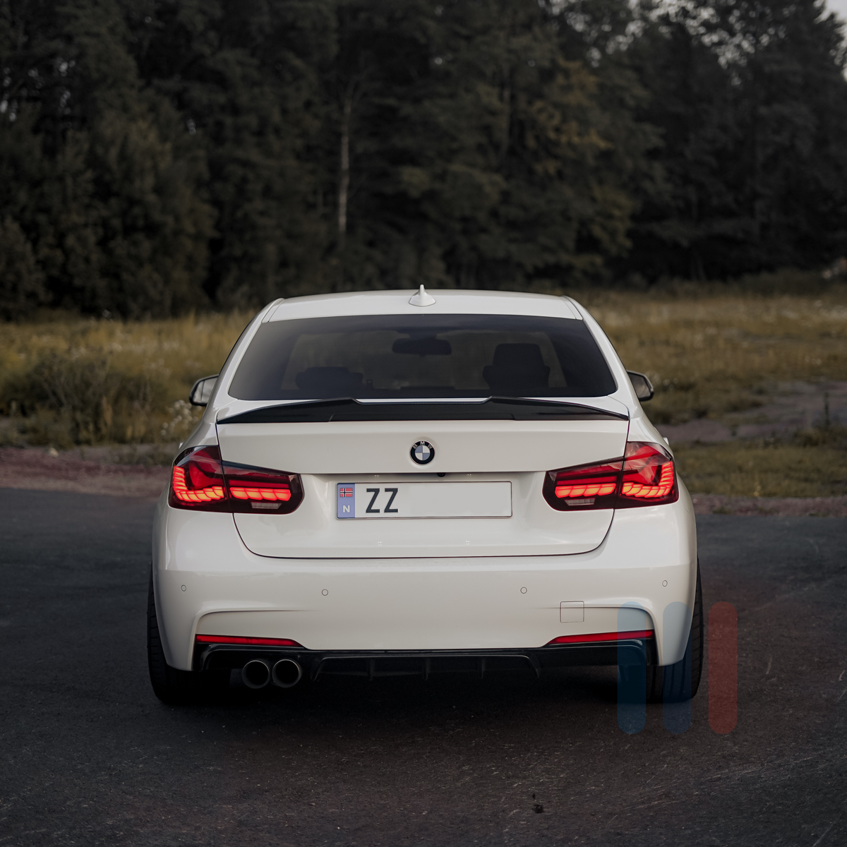 BMW F30/F80 GTS OLED Baklykter