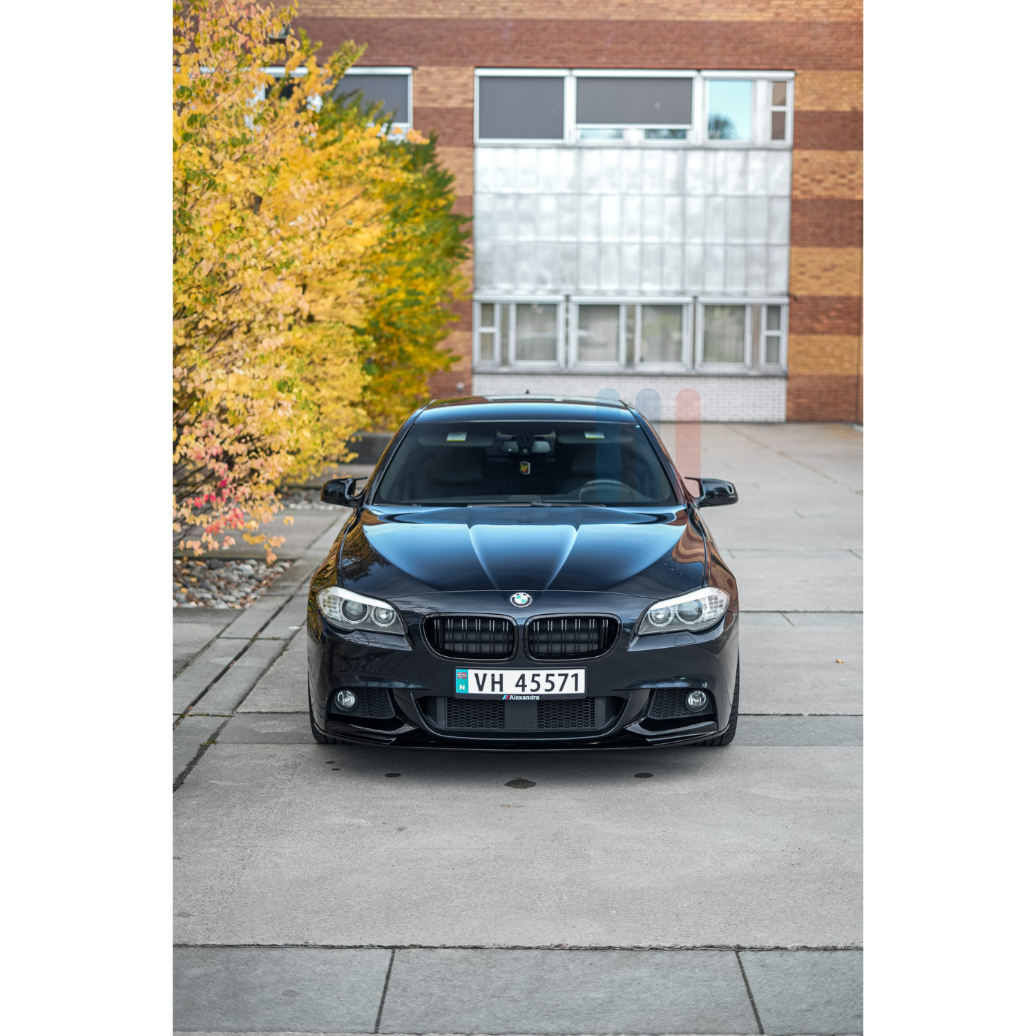 BMW F10/F11 M-Performance Frontleppe