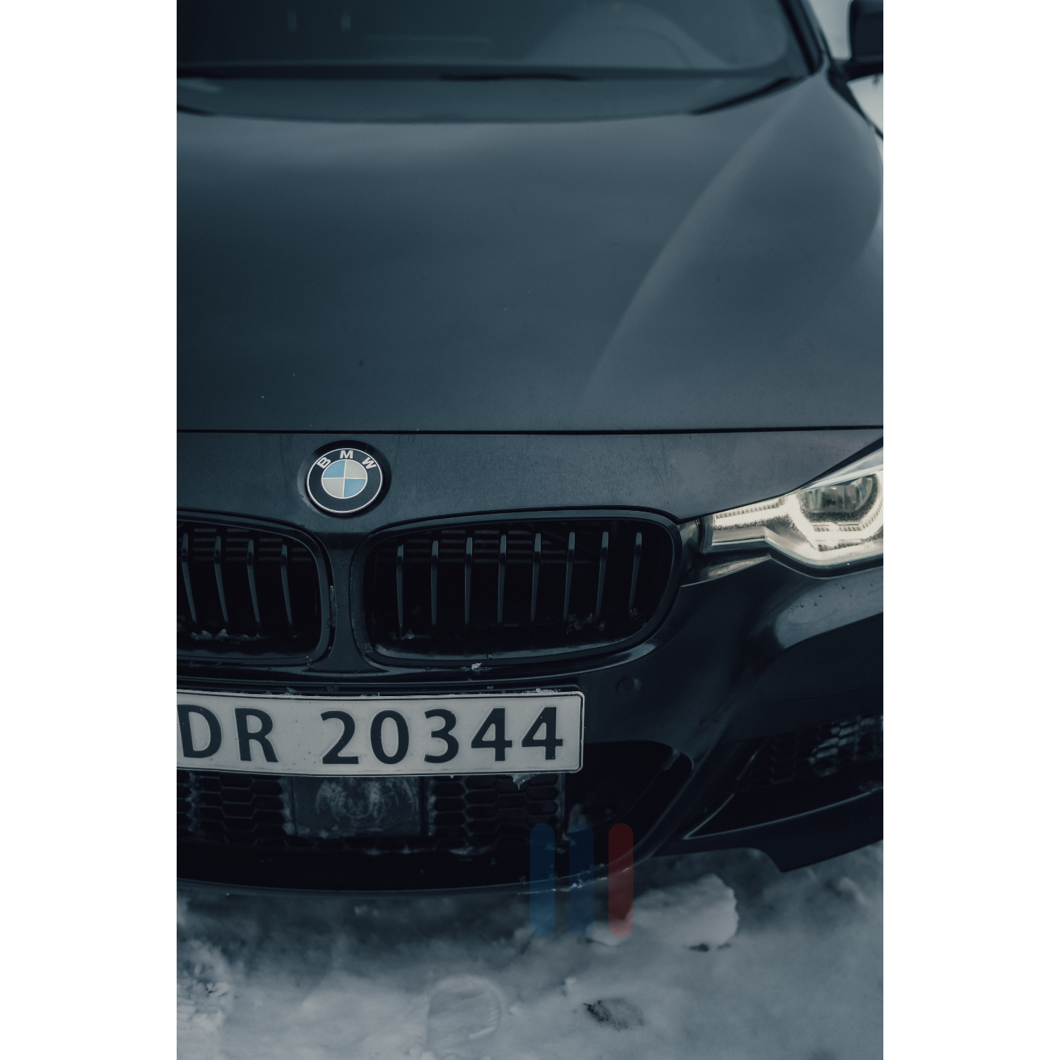 BMW F30/F31 Performance Grill