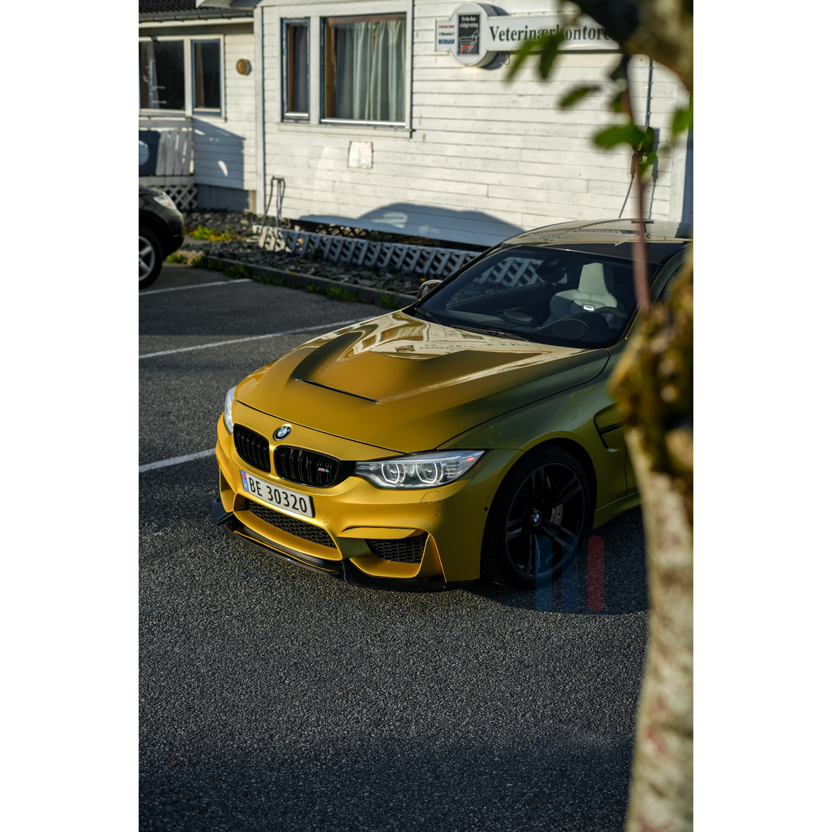 BMW F80/F82/F83 Varis Karbon Frontleppe