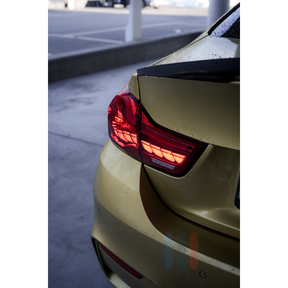 BMW F8x/F3x GTS OLED Baklykter