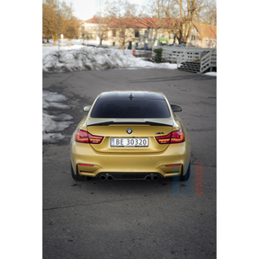 BMW F8x/F3x GTS OLED Baklykter