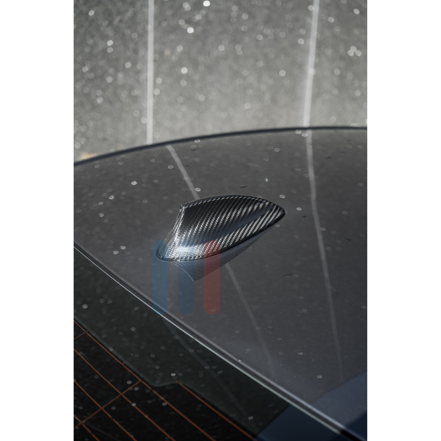 BMW V1 Karbon Antenne